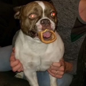 Meet your Posher, Mandy